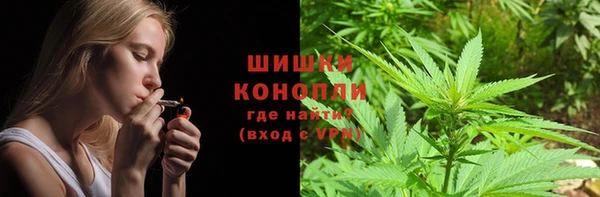 сатива Алексин