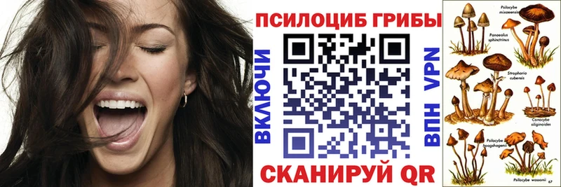 гидра онион  Сухиничи  Галлюциногенные грибы ЛСД 